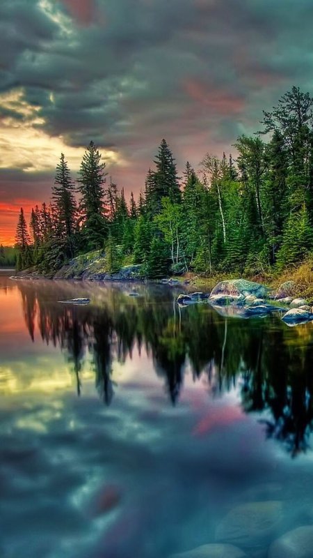 Красивая природа