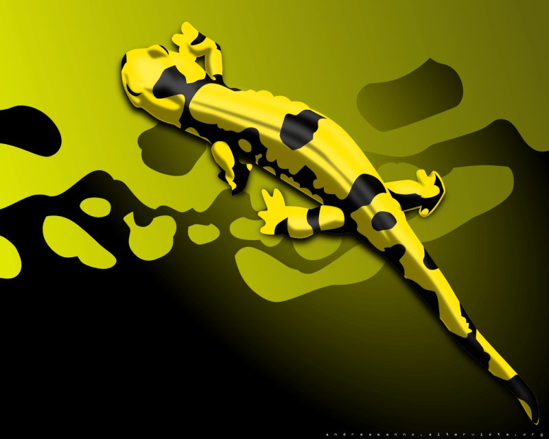 Огненная саламандра арт