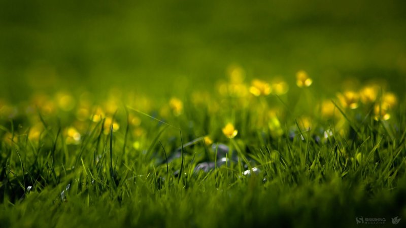 Весенний фон для рабочего стола