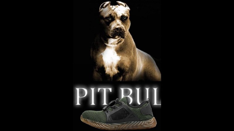 Питбуль фон