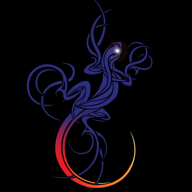 Саламандра на черном фоне