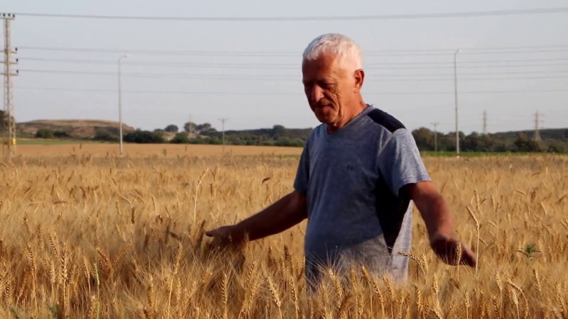 Сельский час