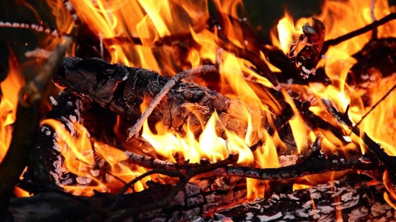 Живой камин на рабочий стол