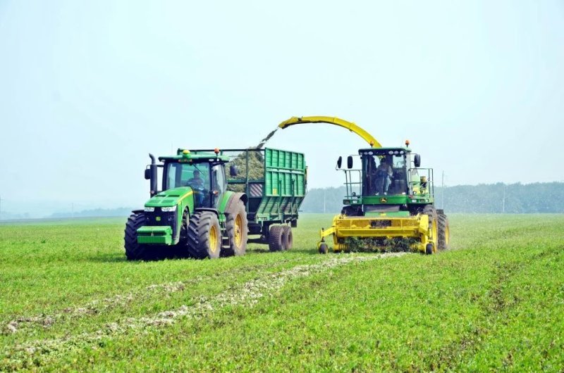 Сельский час телепередача