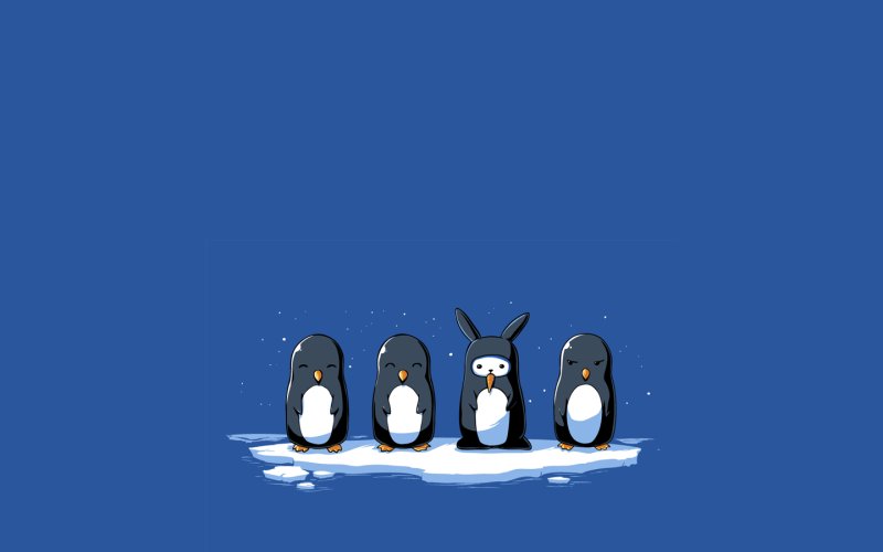 Пингвины фон на рабочий стол