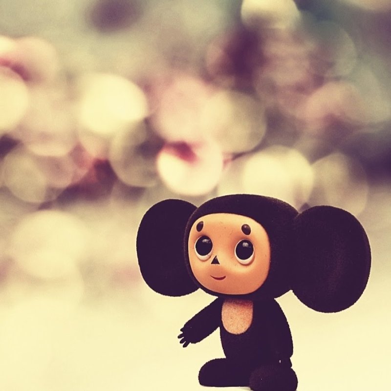 Ава с чебурашкой красивый