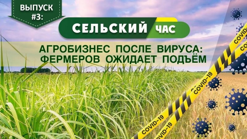 Программа сельский час