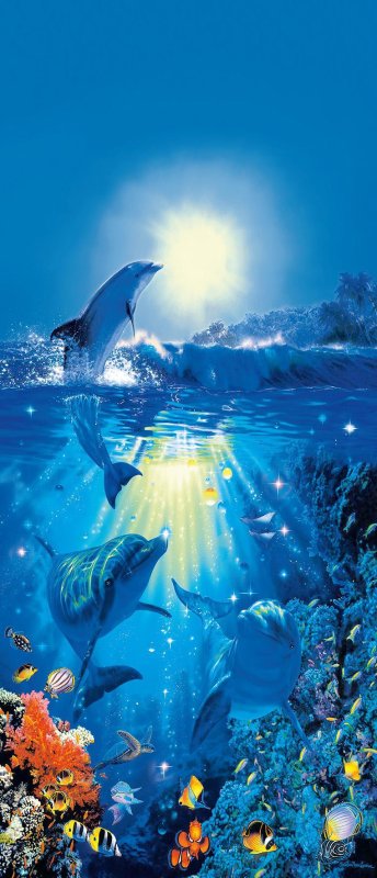 Подводный мир океана