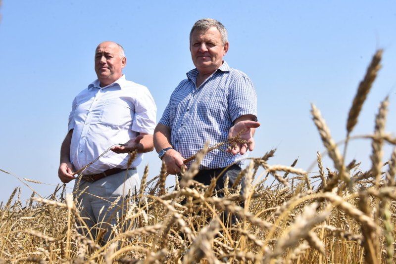 Сельский час