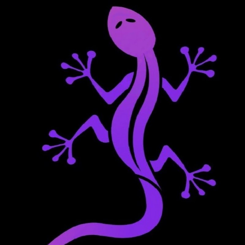 Саламандра рисунок