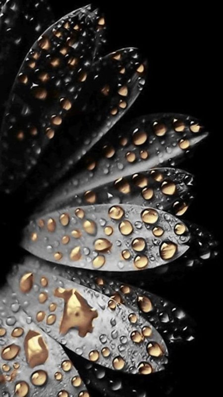 Красивые картинки на телефон