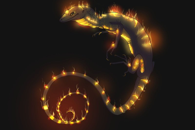 Огненная саламандра магическая