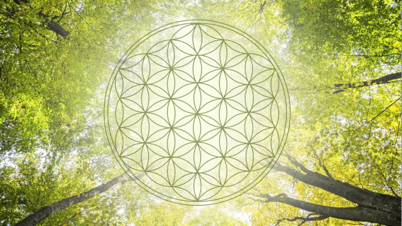 Мельхиседек цветок жизни