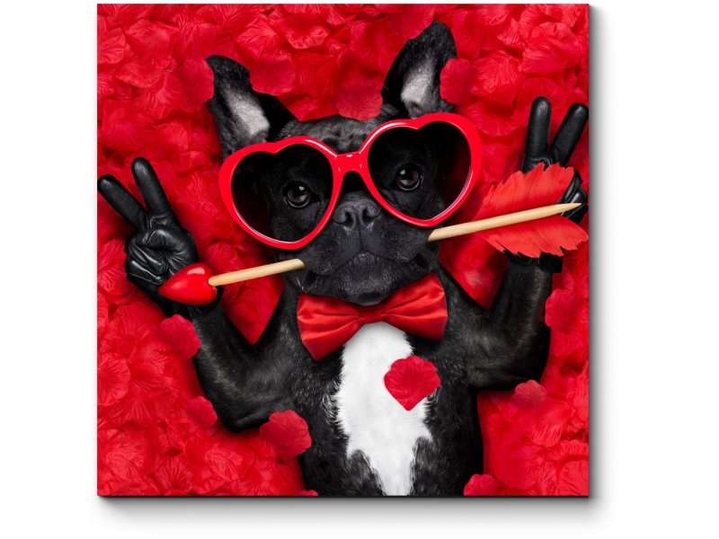 С днем Святого Валентина с животными