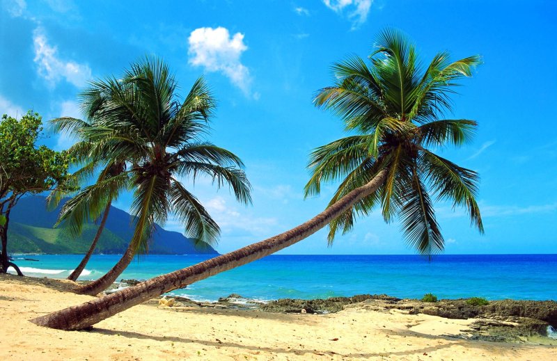 Тропикал Палмс Гоа