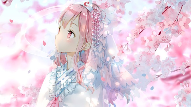 Сакура аниме