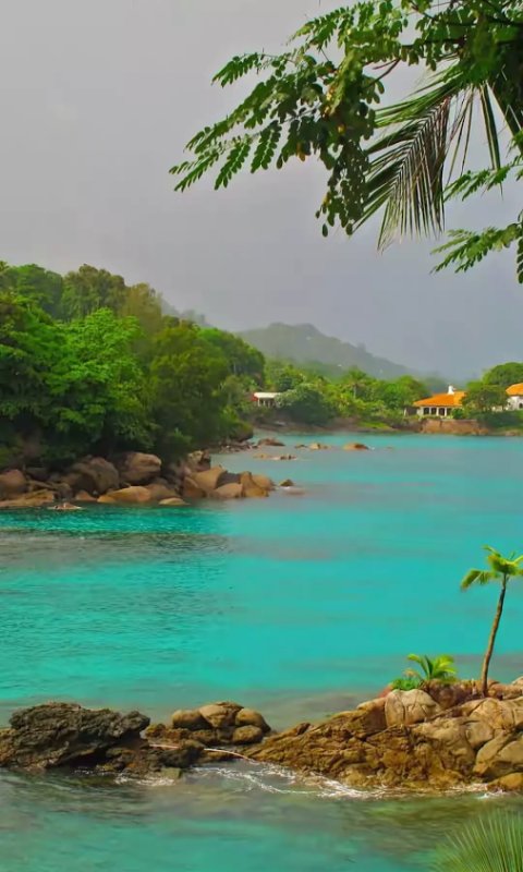 Тропический остров