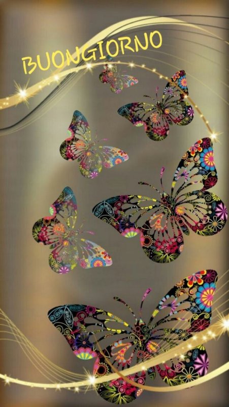 Волшебные бабочки