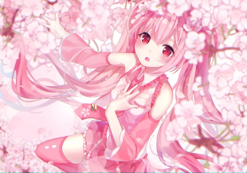 Sakura Miku (Сакура Мику)