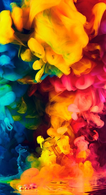 Яркие цветы