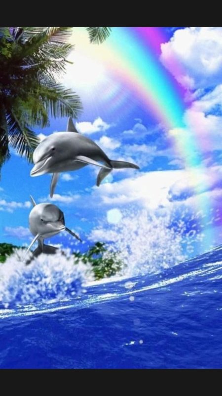 Живые дельфины