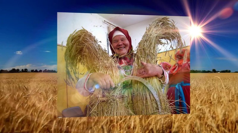 Женщина на хозяйстве