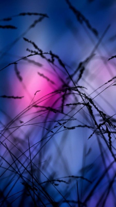 Красивые обои вертикальные