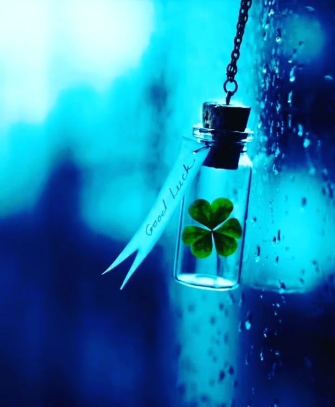 Обои на телефон счастье