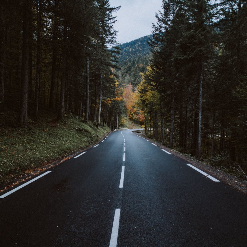 Дорога в лесу