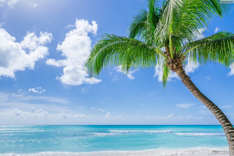 Остров Саона