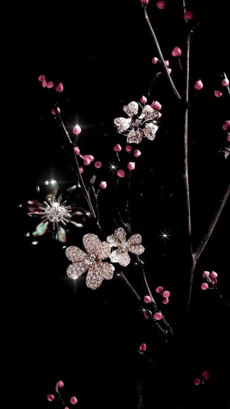 Нежные цветы на темном фоне