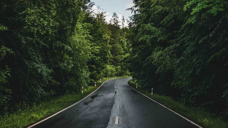 Природа лес дорога