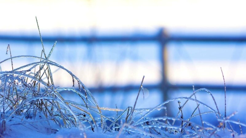 Макросъемка зима