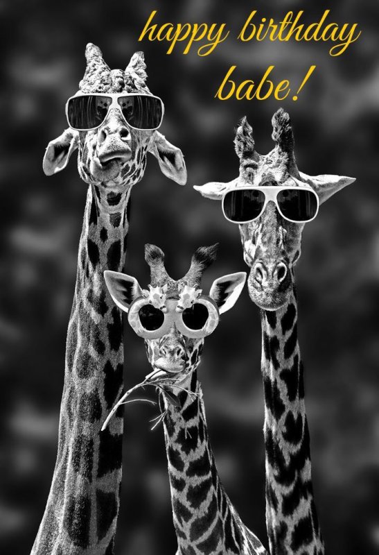 Картина Жираф