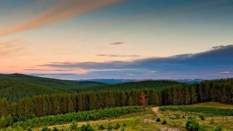 Горная Тайга Южный Урал