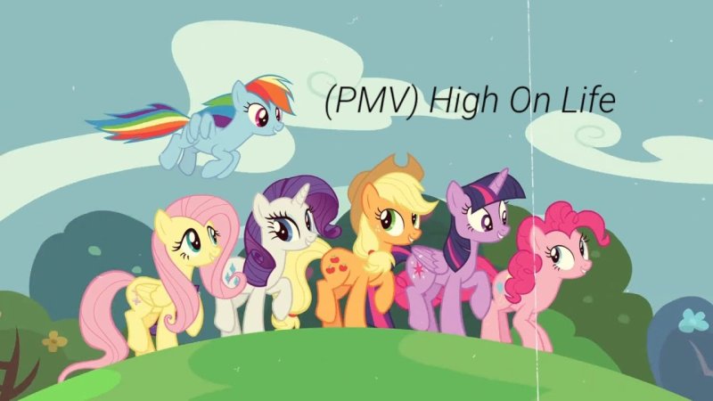 Mane 6