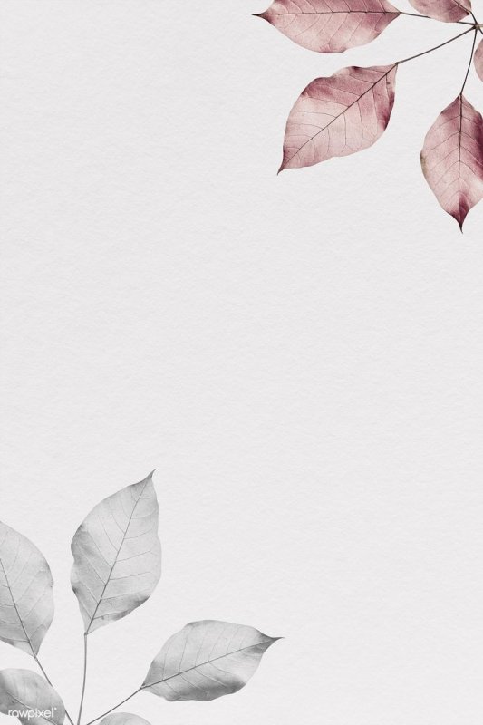 Фон для прайс листа