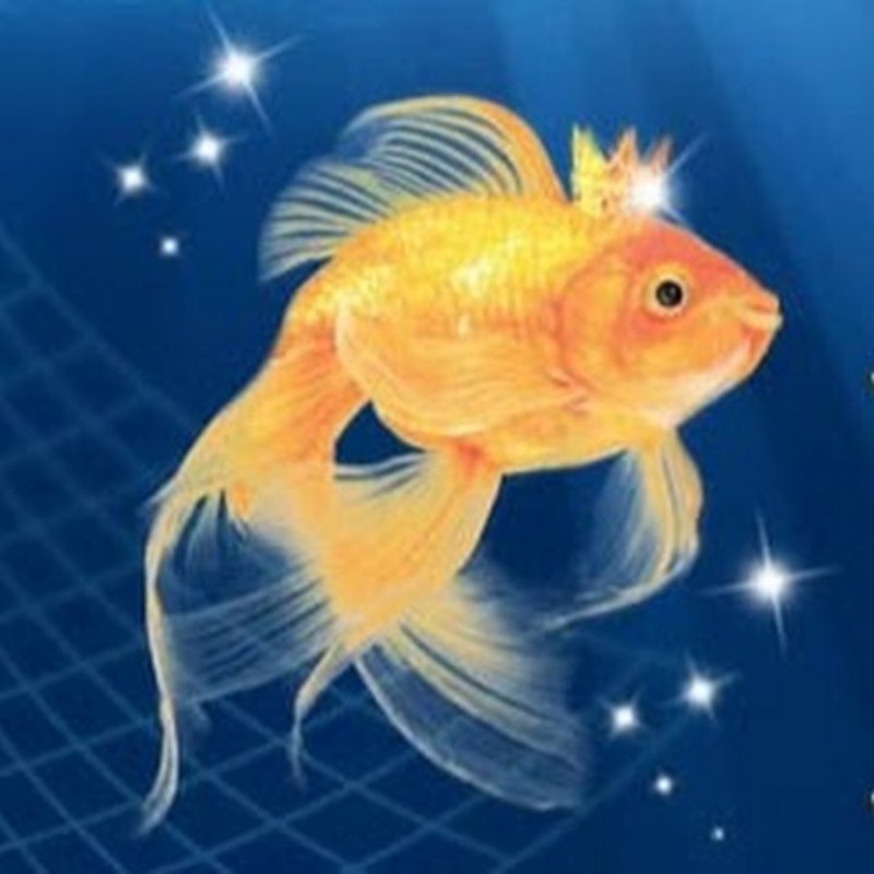 Золотая рыбка