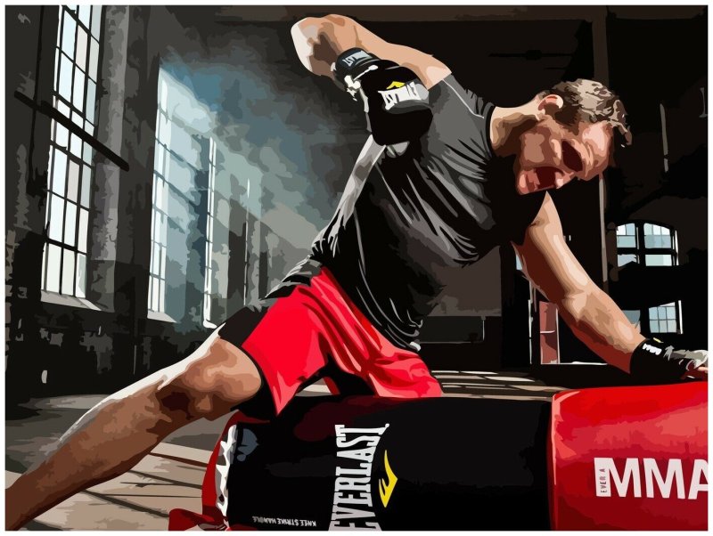 Единоборства ММА