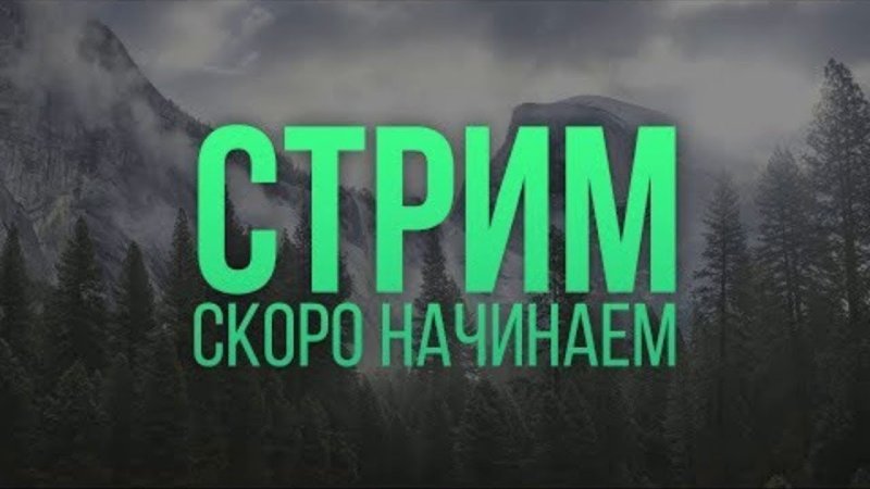 Стрим скоро начнется