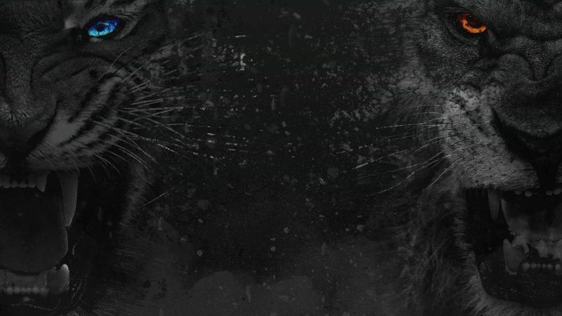 Оскал пантеры