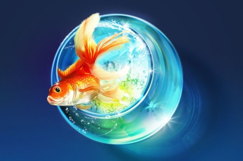 Золотая рыба