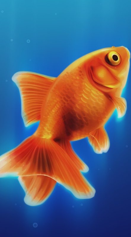 Золотистая рыбка