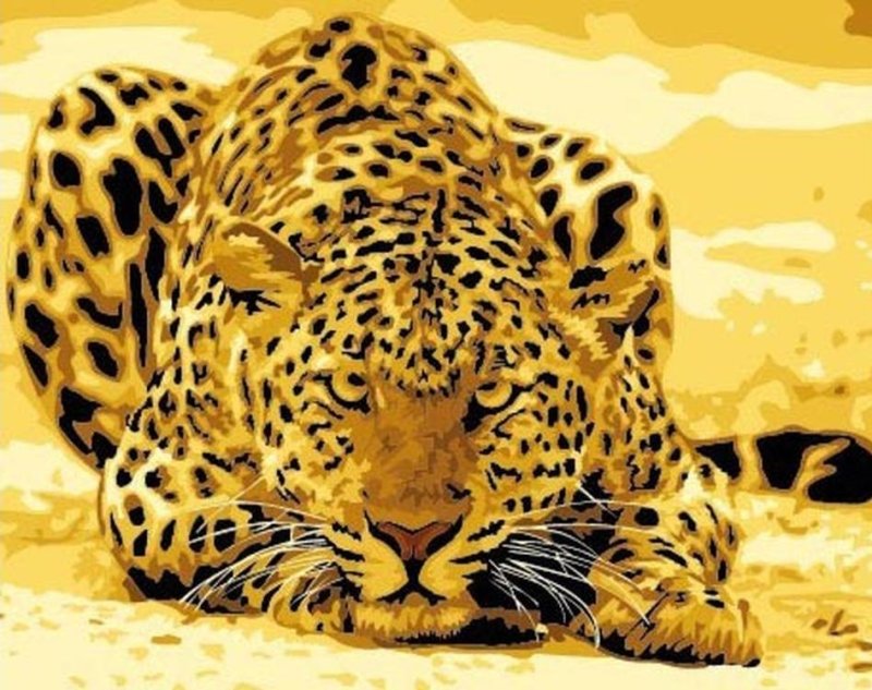 Леопард с голубыми глазами фото