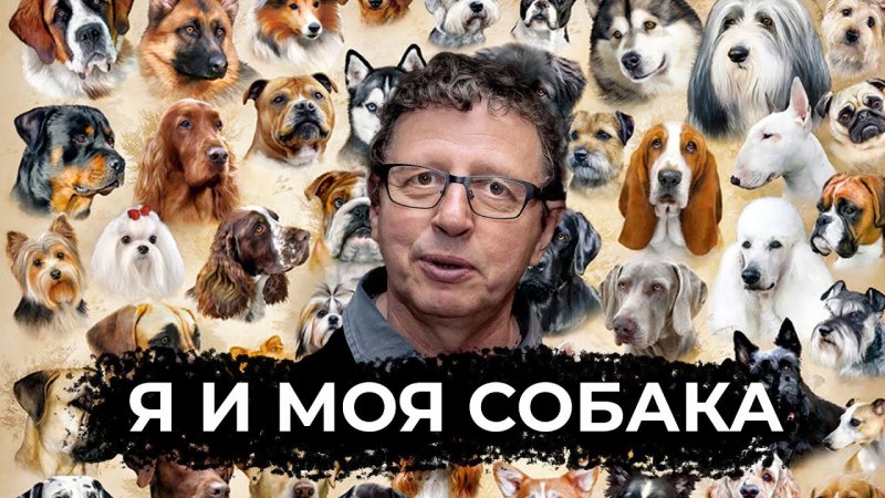 Дог шоу я и моя собака с Михаилом Ширвиндтом