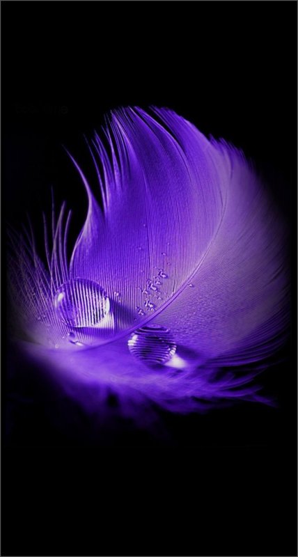 Обои Хуавей хонор