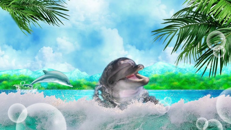 Дельфины в море