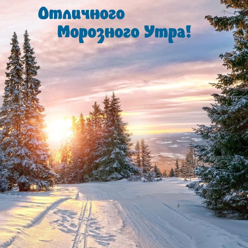 Чудесного зимнего дня