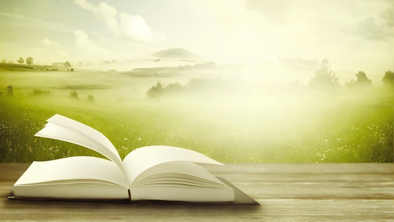 Фон для презентации книги