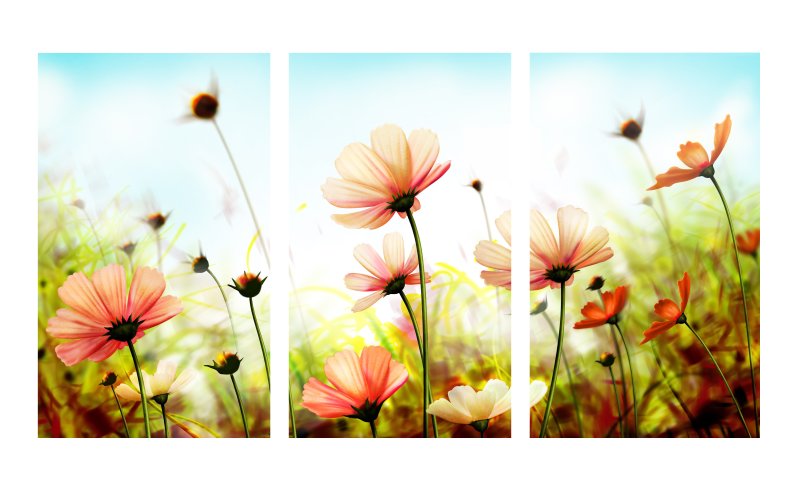 Картинки на рабочий стол цветы